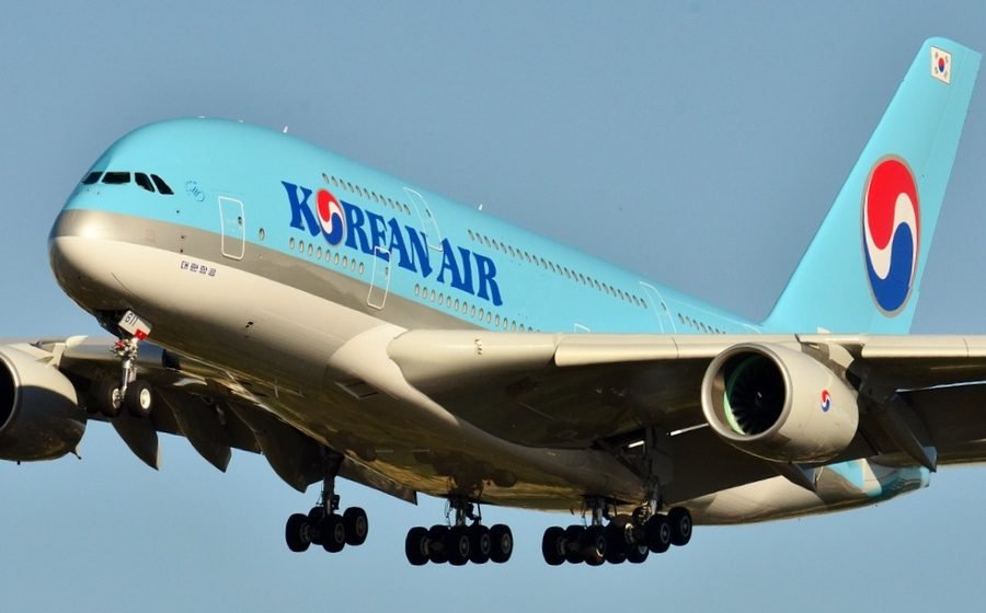 Search flights