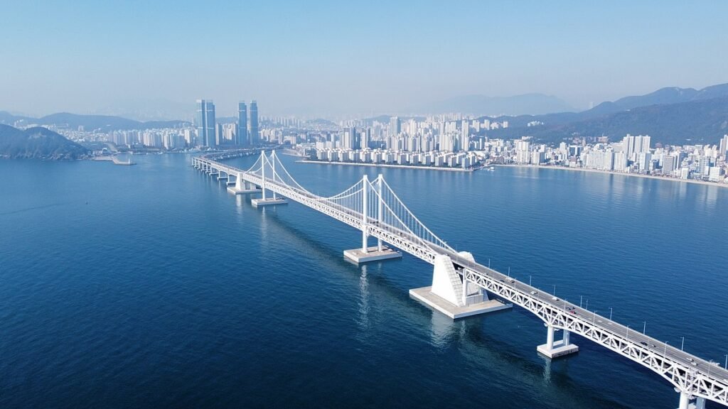 부산 야경과 광안대교 조망