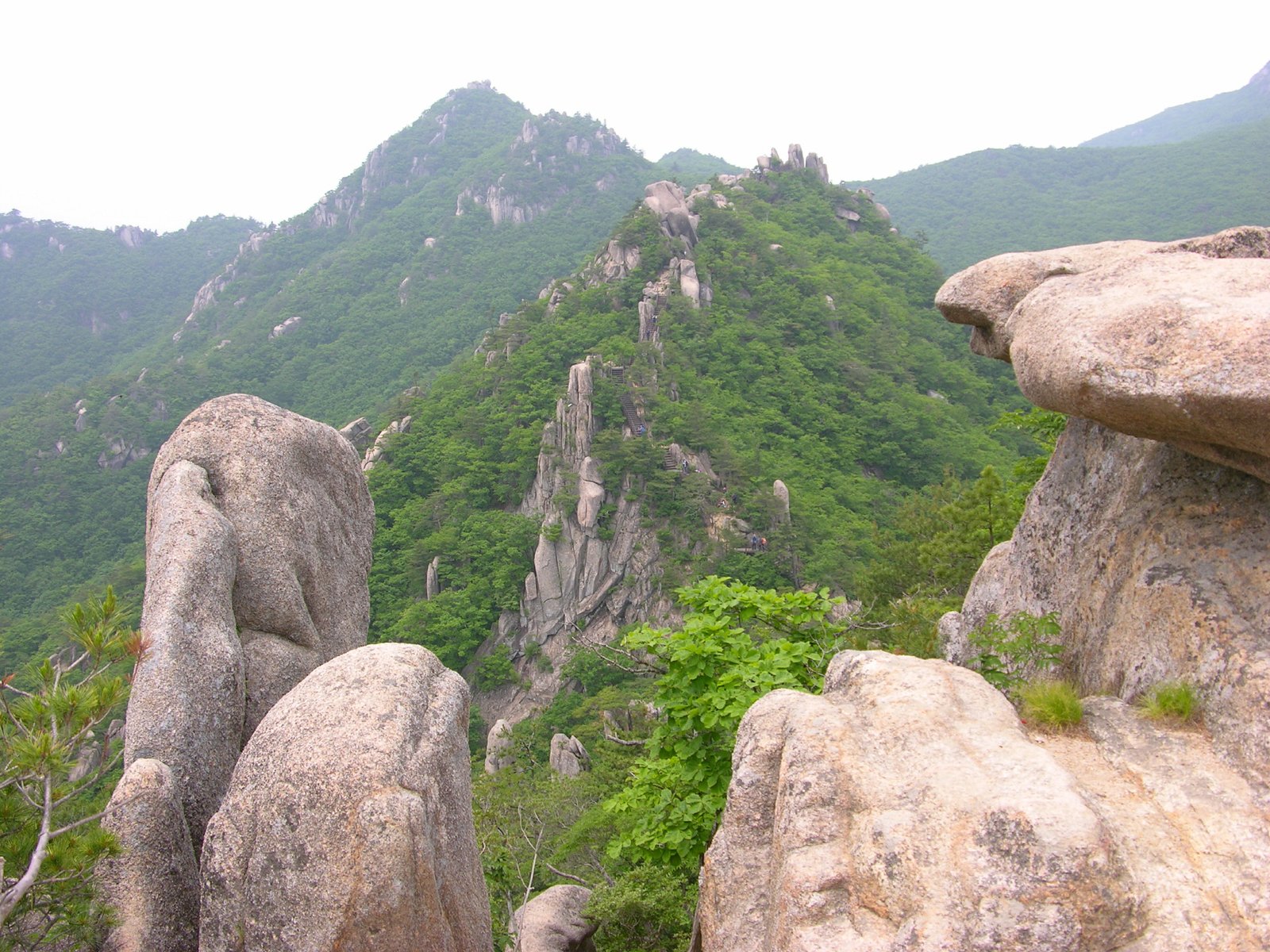 Gayasan